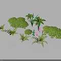Various Green Plants With Different Leaf Shapes And Small Pink Flowers 3d model