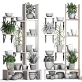 Tiered Wooden Shelving Unit With Potted Plants And Various Decorative Flower Pots