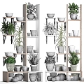 Modern Storage Cabinet Rack Plant Shelf Aloe with Flowers 3d model