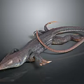Dark Colored Lizard with Long Tail and Extended Limbs On Smooth Black Surface with Reflection