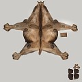 Other camel dromedary camel Bactrian camel 3d model