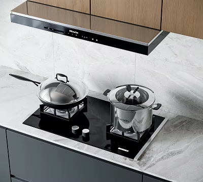 Modern Kitchen With Induction Cooktop Range Hood Marble Countertop And Appliances 3d model