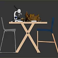 Fossil Specimens Displayed With Microscope Notebook And Chair On Table
