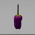 Fresh Purple Chili Pepper with Vibrant Color Isolated on Dark Background