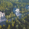 Modern Detached Villa Exterior Wall With Light Facade Dark Roofs Surrounded by Forest Trees