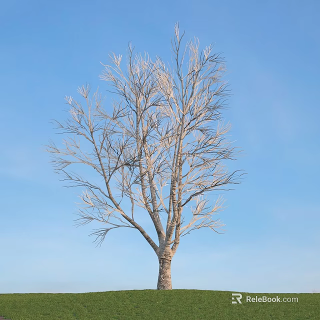 Tall Leafless Tree With Bare Branches Against Clear Blue Sky 3d model 