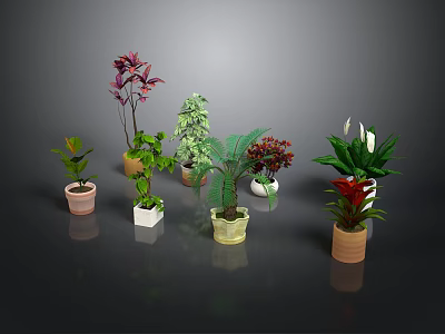 Various Potted Green Plants With Different Leaf Colors And Flower Pots 3d model