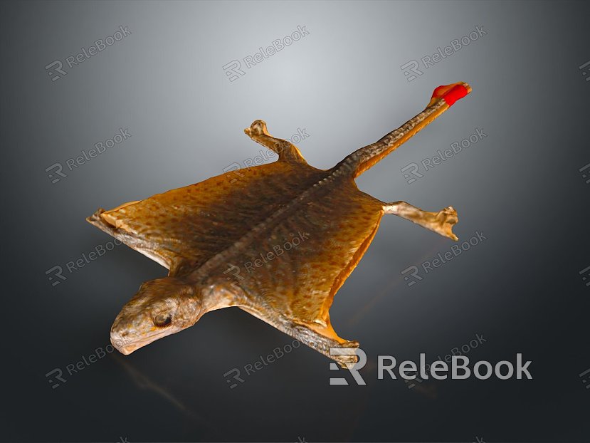 Gecko flying gecko large gecko multiple warts gecko webbed gecko webbed toed gecko reptile model