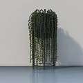 Hanging Bonsai Potted Plant With Trailing Leaves On Metal Stand In Minimalist Space