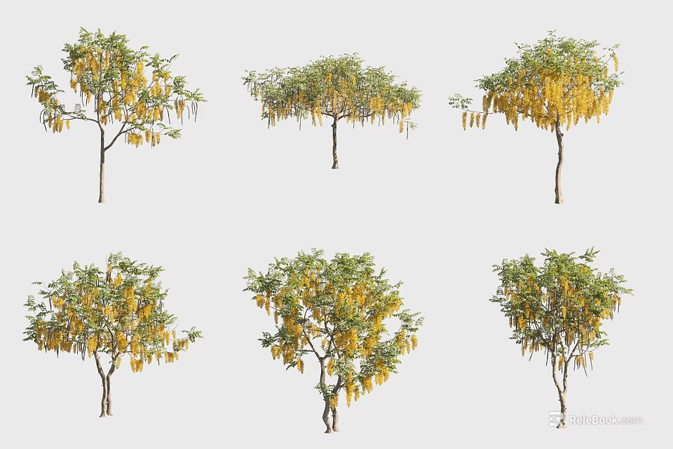 Arbor Trees Displaying Yellow Hanging Flowers In Multiple Varied Forms 3d model