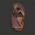 Developing Human Fetus Inside Uterus in Natural Fetal Position 3D Rendering