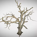 Rough Wooden Stone Dry Tree Trunk With Leafless Branches And Natural Texture 3d model