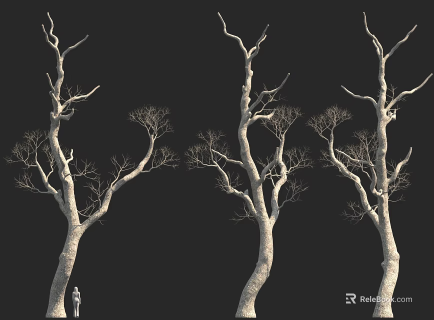 Tall Leafless Trees Against Black Background With Small Figure For Height Comparison 3d model 