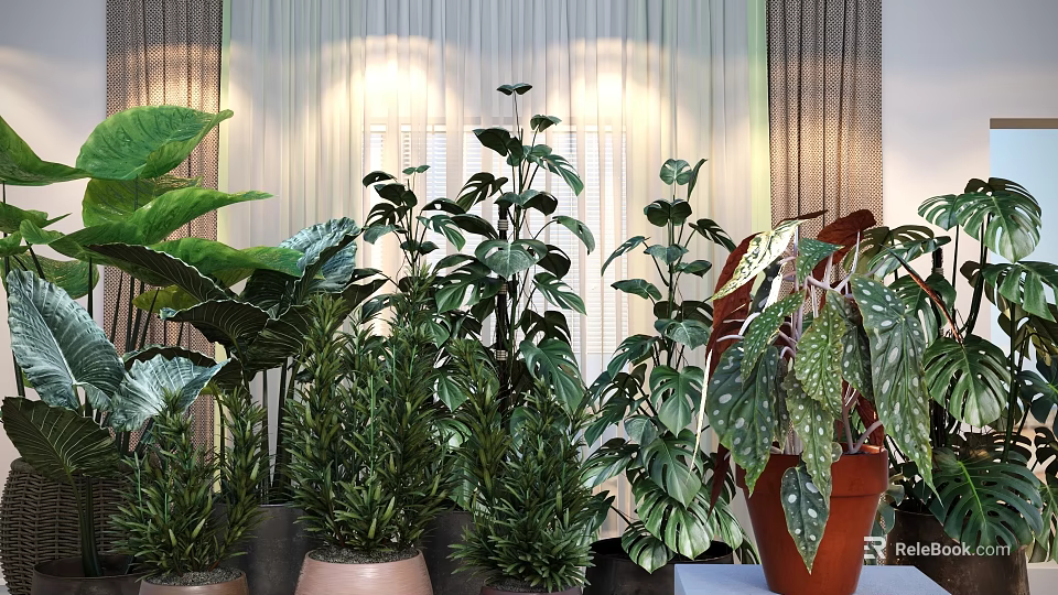 Different Types of Indoor Potted Plants With Green Leaves And Decorative Pots In Soft Light 3d model 