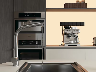 Sleek Stainless Steel Kitchen Sink With Faucet In Modern Kitchen Interior And Built In Appliances 3d model