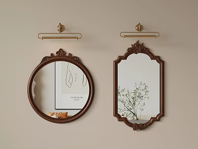 Vintage Round and Rectangular Decorative Mirrors with Ornate Frames Wall Mounted and Green Plant Reflection 3d model