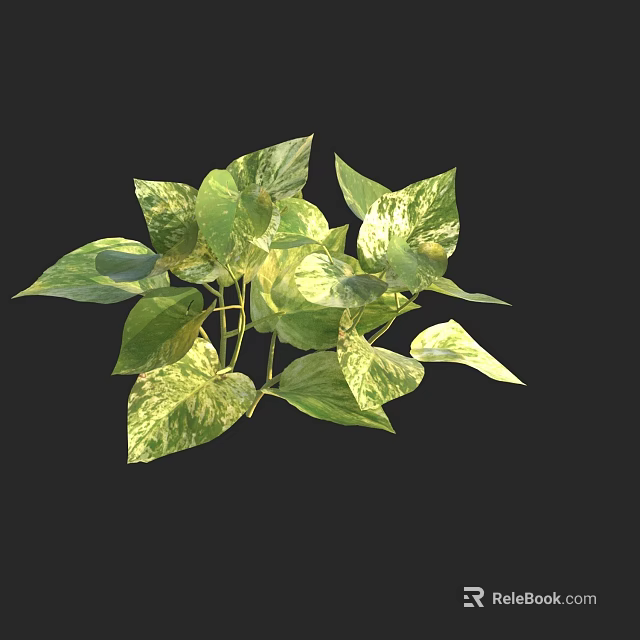 Variegated Pothos Plant With Green And Yellow Variegated Leaves Healthy Indoor Foliage 3d model 