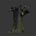 Natural Wood And Stone Tree Stump With Rough Bark Texture And Green Moss