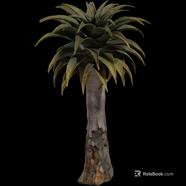 Tall Arbor with Rough Textured Trunk and Broad Green Leaves in Outdoor Space 3d model 