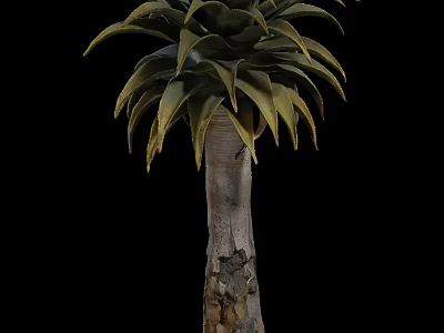 Tall Arbor with Rough Textured Trunk and Broad Green Leaves in Outdoor Space 3d model