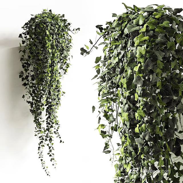 Lush Green Hanging Basket Plants With Cascading Leaves For Indoor Decoration 3d model 