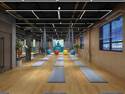 Modern Fitness Studio With Yoga Mats Colored Exercise Balls And Wooden Floor 3d model