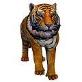 Tiger Reptile Feline Amur Tiger 3d model