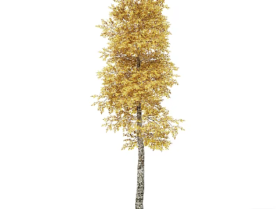 Beautiful Tree With Golden Leaves And Textured Trunk In Autumn 3d model