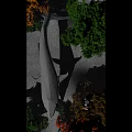 Stunning Water Fountain With Green Trees And Sunlight Reflection On Water Surface