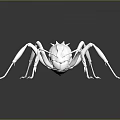 White Ant 3D Model on Black Background with Detailed Reflection 3d model