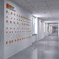 Bright Office Hallway Interior With White Walls Brown Wooden Doors Wall Decor And Ceiling Lights