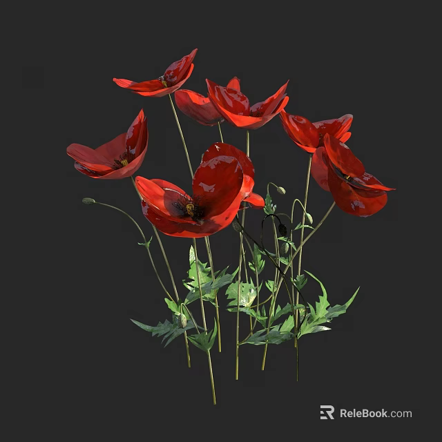 Vibrant Red Poppies With Green Leaves And Stems Botanical Floral 3d model 