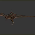 Colorful Dinosaur With Spiked Back Open Mouth Detailed Texture