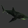 Detailed Shark With Open Mouth Sharp Teeth And Dorsal Fin On Dark Surface