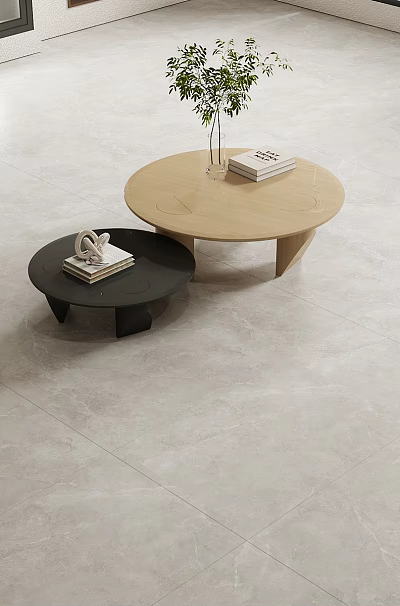 Gray Floor Tiles In Living Room With Round Coffee Tables And Potted Green Plant 3d model