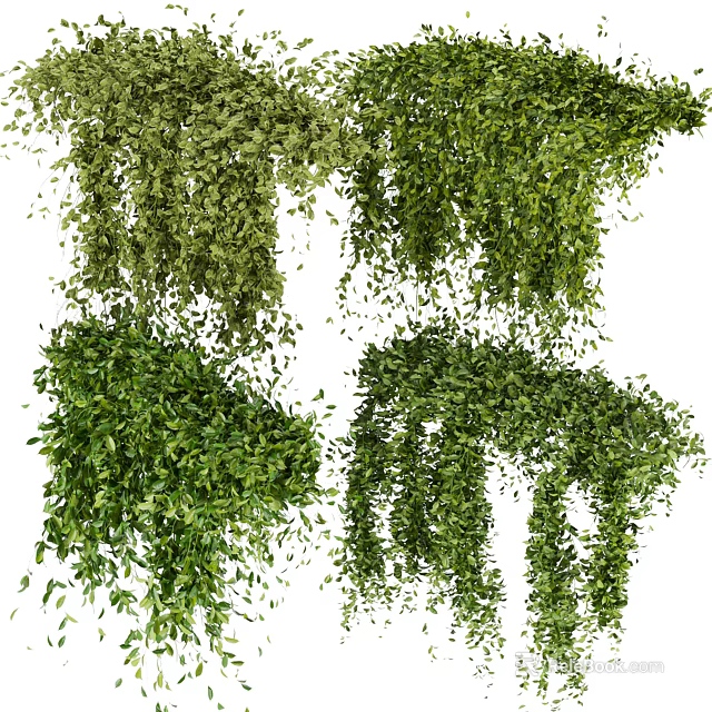 Lush Green Vines With Hanging Leaves And Various Decorative Creeping Forms 3d model 