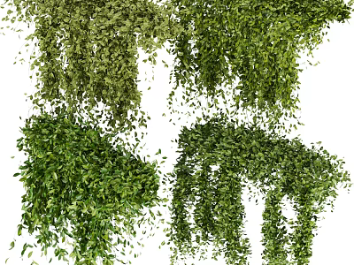 Lush Green Vines With Hanging Leaves And Various Decorative Creeping Forms 3d model