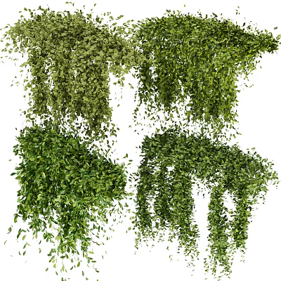 Lush Green Vines With Hanging Leaves And Various Decorative Creeping Forms 3d model