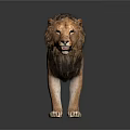 Realistic Male Lion With Thick Mane Standing On Dark Background With Reflection 3d model