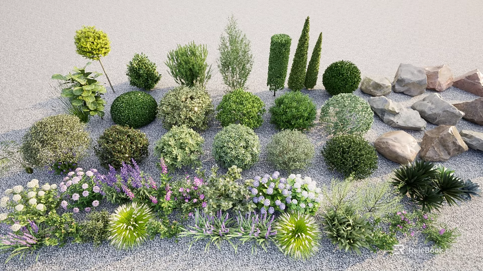 Diverse Plant Combination Arrangement with Shrubs Flowers and Ornamental Plants 3d model 