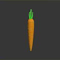 Fresh Orange Carrot With Green Leafy Tops And Smooth Textured Surface