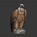 Decorative Eagle Sculpture With White Head Brown Orange Feathers And Stone Base