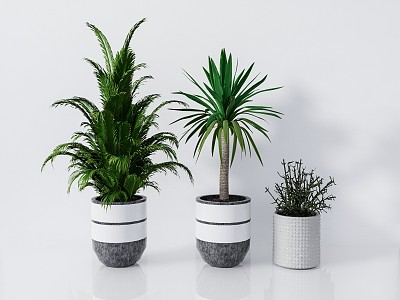 modern potted plant green plant potted plant 3d model