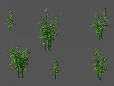 Diverse Green Bamboo Plants With Various Heights For Natural Garden Landscaping 3d model