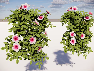 Hanging Basket Plants With Pink Flowers And Lush Green Leaves Against Blue Sky 3d model