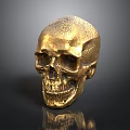 Animal Skull Ornament in Golden Finish Placed on Black Background with Shiny Reflection