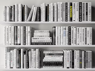 Neatly Arranged Bookshelf With Various Books And Magazines On Fashion Nutrition Topics 3d model