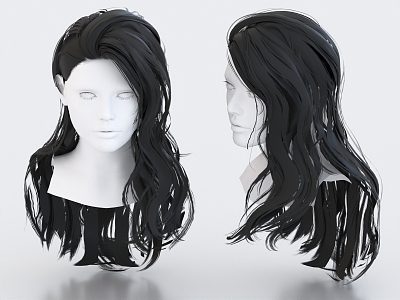 Hair Long Hair Wig Hairstyle 3d model