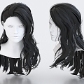 Hair Long Hair Wig Hairstyle 3d model