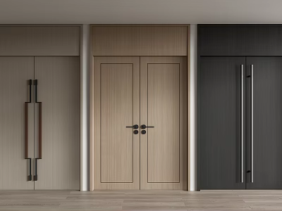 Modern Double Doors With Different Color Designs And Stylish Handles For Home Interior 3d model